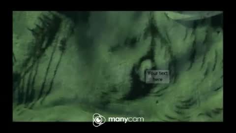 Snapshot of hungc2c420 chatting on 03-10-26, 03:28 hung420boner online show from 03-10-26, 03:28