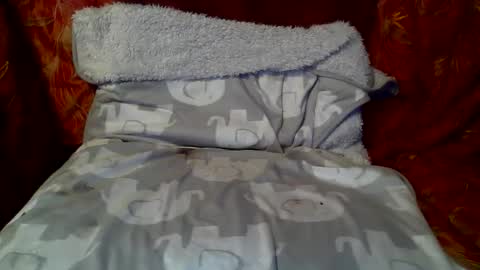 Snapshot of hungc2c420 chatting on 05-22-26, 03:39 hung420boner online show from 05-22-26, 03:39