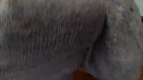 Snapshot of hunyybunz chatting on 03-01-25, 10:10 Goddess Hunyy online show from 03-01-25, 10:10