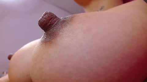 Salo  online show from 02-12-26, 09:26