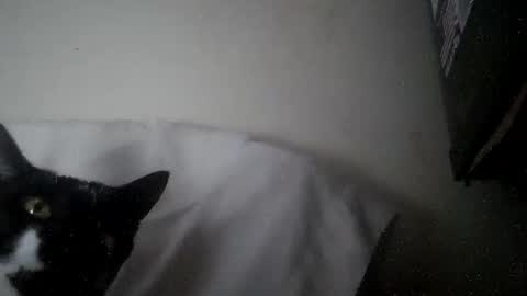 Snapshot of iamryan995442 chatting on 04-07-26, 05:35 iamryan995442 online show from 04-07-26, 05:35