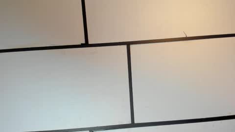 Ian Lark online show from 05-16-26, 11:36