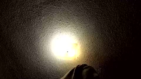 ibussbooties_007 online show from 03-14-26, 01:55