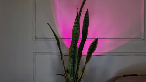 Snapshot of ice_princess__ chatting on 10-03-25, 05:37 Crystall online show from 10-03-25, 05:37