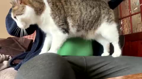 icums4u online show from 03-24-26, 02:33