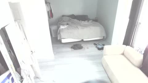 Snapshot of idiocracy517035 chatting on 10-28-25, 11:29 idiocracy517035 online show from 10-28-25, 11:29