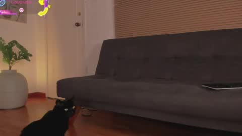 Lua     online show from 04-21-26, 01:42