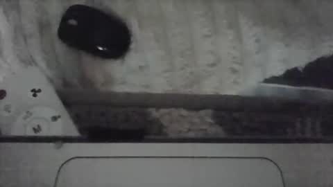 iloveitall86 online show from 04-19-26, 06:10