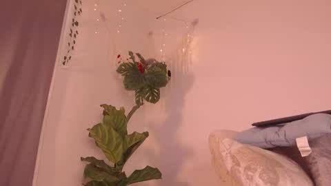 Snapshot of im__kaia chatting on 01-09-26, 07:59 Kaia online show from 01-09-26, 07:59