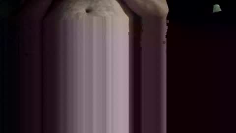 imafktoy online show from 12-21-25, 07:48