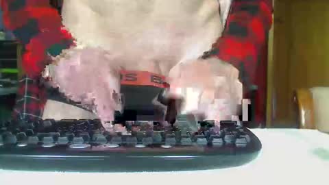 Snapshot of imaussiechris chatting on 10-21-25, 12:33 Aussie Guy online show from 10-21-25, 12:33