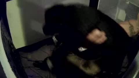 imtru online show from 02-14-25, 04:04