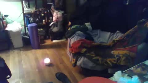 indigo_scorpio online show from 02-11-26, 12:04