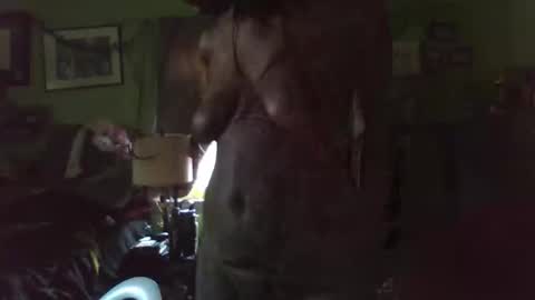 indigo_scorpio online show from 04-28-26, 09:42