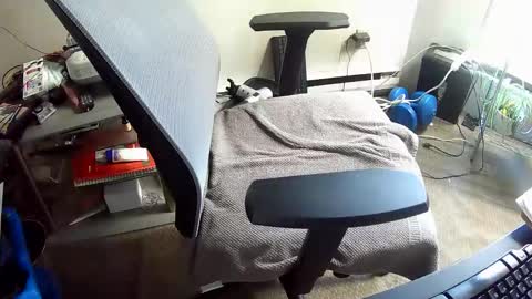 BroLOU online show from 04-29-26, 05:30