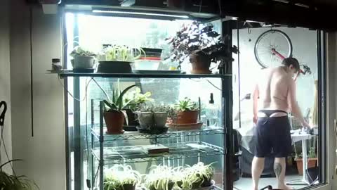 BroLOU online show from 06-15-26, 07:38