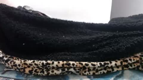 indr40ff online show from 04-25-26, 10:29