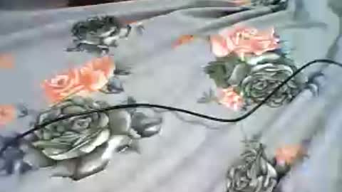 inejhtin online show from 06-24-26, 04:00