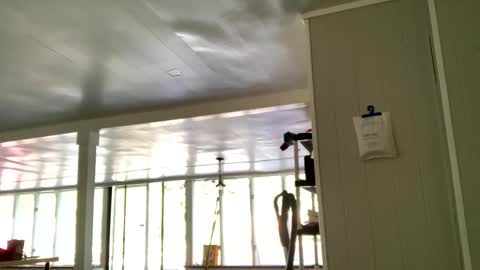 IntoTheWoodsWeGo online show from 10-20-25, 02:06