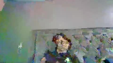 Snapshot of introducingthebrilliance chatting on 10-06-25, 03:48 WillyTripleXxx online show from 10-06-25, 03:48