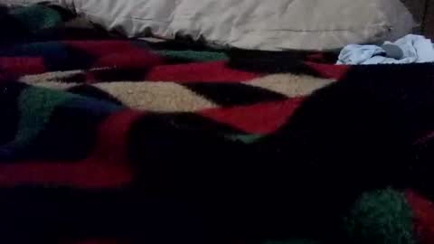 McDick online show from 03-27-26, 08:26