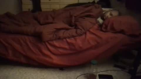 SexEngine88 online show from 02-02-26, 12:42