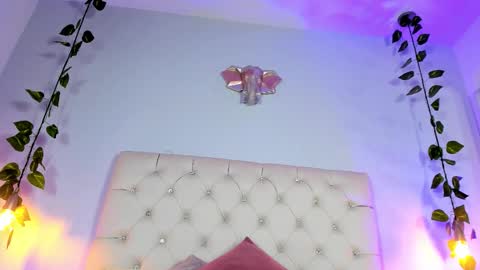   online show from 11-21-25, 08:29