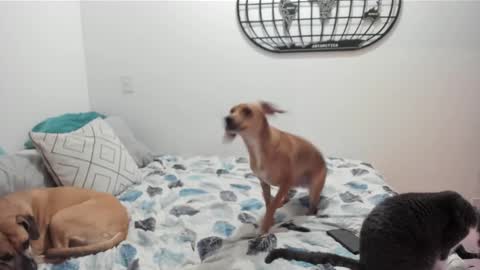 Isa online show from 12-27-24, 05:52