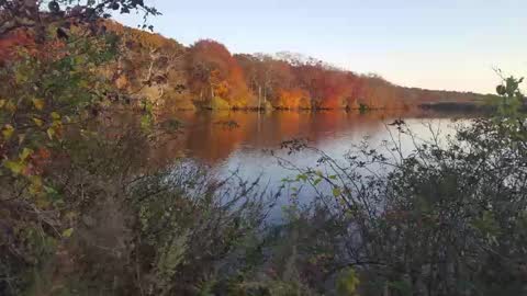 Jim online show from 02-23-25, 07:33