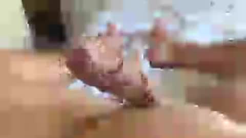 Snapshot of italianxsalami chatting on 07-16-26, 03:07 italianxsalami online show from 07-16-26, 03:07