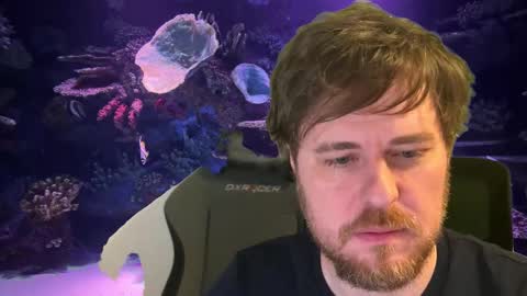 Snapshot of itpain chatting on 12-04-25, 12:53 pain online show from 12-04-25, 12:53