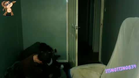    online show from 09-13-25, 09:03