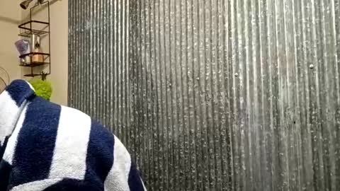 Snapshot of ittybittypritty chatting on 11-15-25, 12:02 ittybittypritty online show from 11-15-25, 12:02