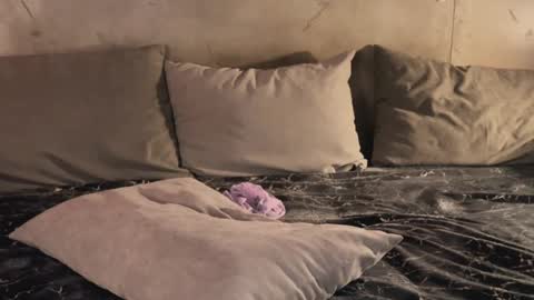 izi online show from 02-19-25, 09:47