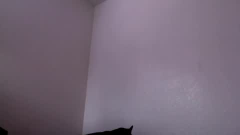 Snapshot of j0nnyk1ng chatting on 02-04-25, 06:27 Mugen online show from 02-04-25, 06:27