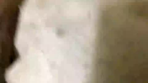 Jaaltar online show from 01-08-26, 07:05