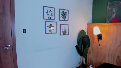 David online show from 11-25-25, 03:17