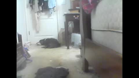 jaburgett1979 online show from 10-10-25, 03:05