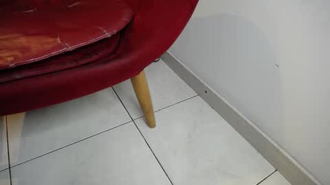 Jack Howards online show from 03-08-26, 02:04