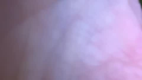 jackjackerman online show from 05-16-26, 02:49