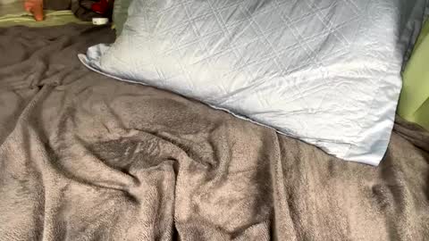 Snapshot of jacksbunnys chatting on 01-14-25, 11:10 jacksbunnys online show from 01-14-25, 11:10