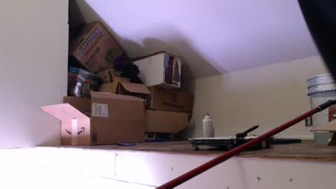 Snapshot of jacksonmale1974 chatting on 01-18-25, 01:29 funtimes49203 online show from 01-18-25, 01:29