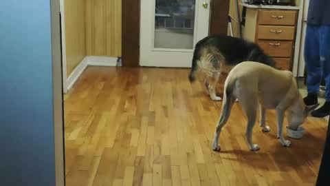 funtimes49203 online show from 01-10-26, 02:08