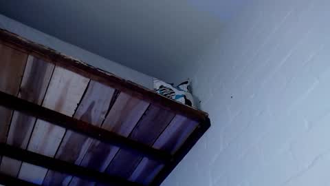 Michael Caicedo online show from 03-12-25, 07:57