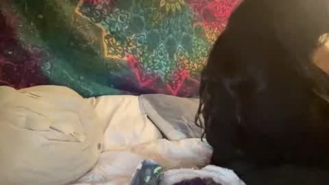 Snapshot of jadexbabe chatting on 01-27-25, 11:54 Jadexbabe online show from 01-27-25, 11:54