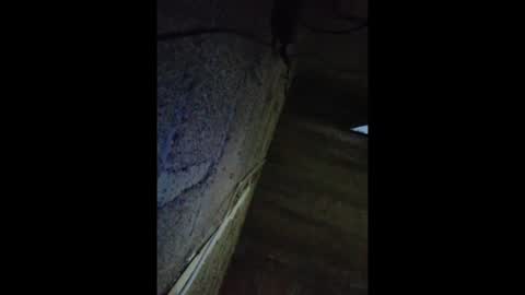 jaimepasivo777 online show from 05-16-26, 07:27