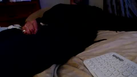 what you in too online show from 12-02-25, 08:19