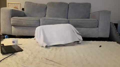 Snapshot of jamesjackin85 chatting on 12-16-24, 07:00 jamesjackin85 online show from 12-16-24, 07:00