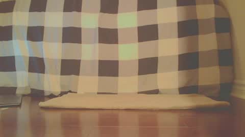 James online show from 04-13-26, 01:33