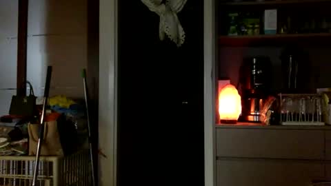 Snapshot of jamesmo820913 chatting on 10-25-25, 03:58 jamesmo820913 online show from 10-25-25, 03:58